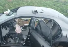 Fin de semana de intensos operativos policiales: rescatan a un perro sustraído y detienen a otra integrante de una banda de estafadores