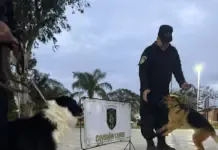 Ramírez: “Generalmente el guía pide que el perro retirado viva en su casa”